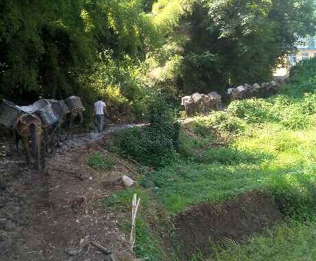 山东马帮运输队