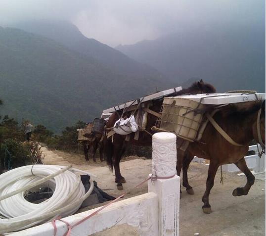 山东山区马帮运输