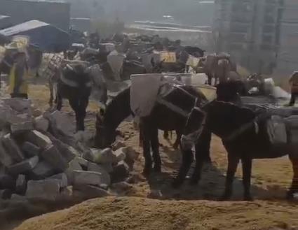山东马队山路运输