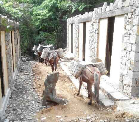 山东马队运输队