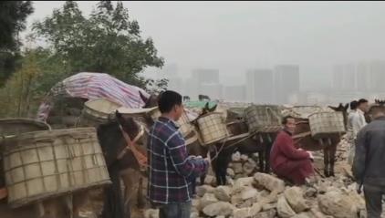 山东骡马山区运输