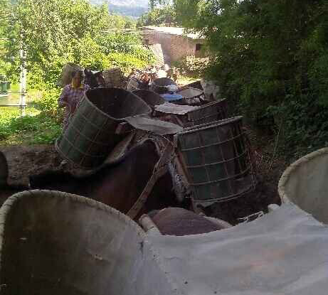 山东骡马运输队