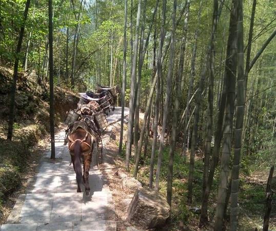 山东山路马队运输